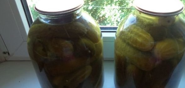 Трубочки из печени