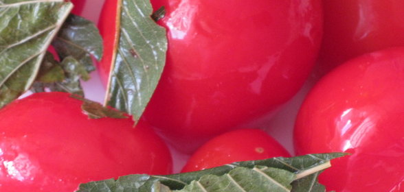 Квашеные помидоры