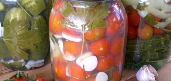 Закатка помидоров с чесноком