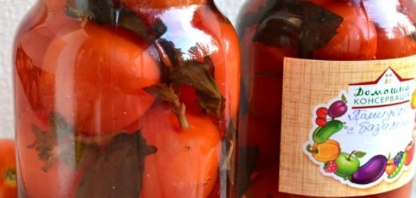 Помидоры маринованные с базиликом и яблочным уксусом