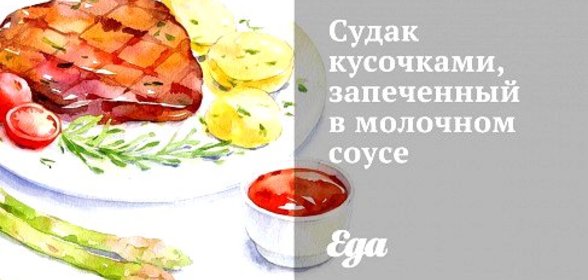 Судак кусочками, запеченный в молочном соусе