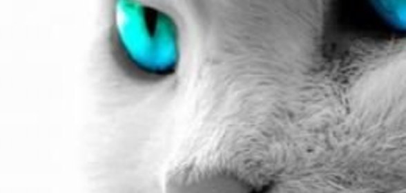 Горчичный соус