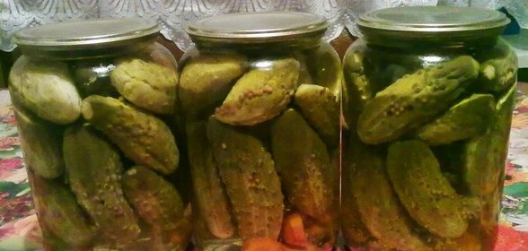 Консервированные огурцы с горчицей