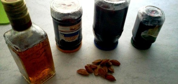 Джем Пьяная слива