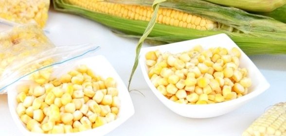 Молодая кукуруза на зиму