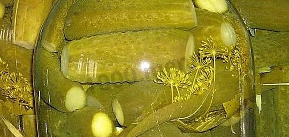 Маринованные огурцы как в магазине на зиму