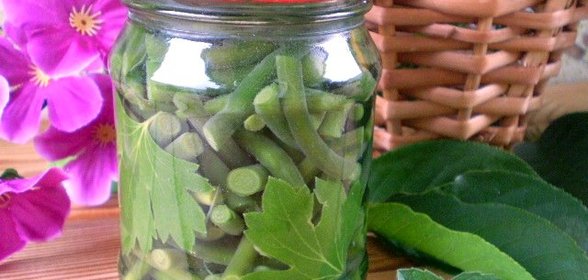 Маринованные стрелки на зиму