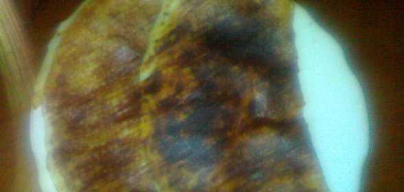 БЛИННЫЕ ЧЕБУРЕКИ