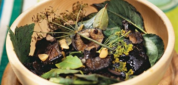 Засолка грибов. Холодный метод