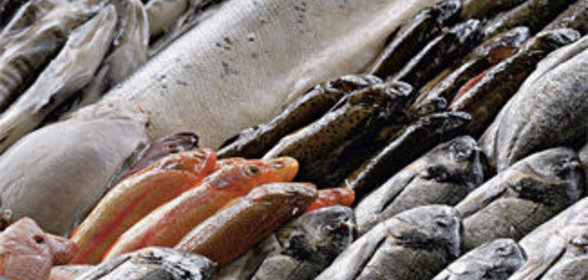 Чистка и потрошение рыбы