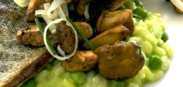 Грибы с песто