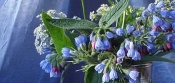 Капуста цветная с маслом