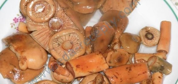 Грибы рыжики маринованные на зиму