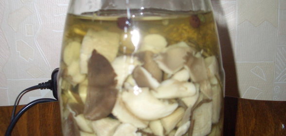 грибы маринованные быстрые