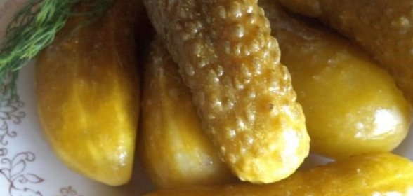 Засолка огурцов в банках