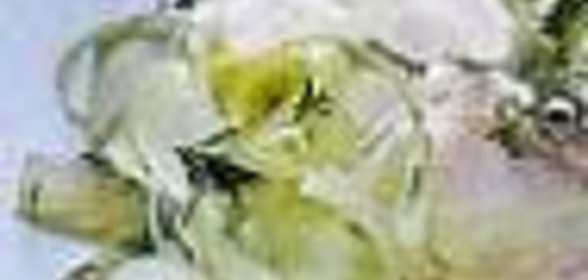 Квашенный чеснок