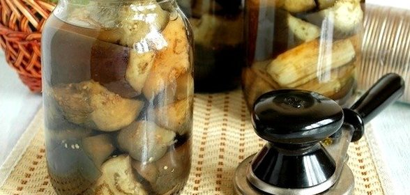 Баклажаны маринованные на зиму