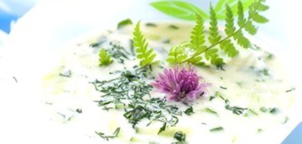 Соус из огурцов с зеленью и чесноком дзадзики