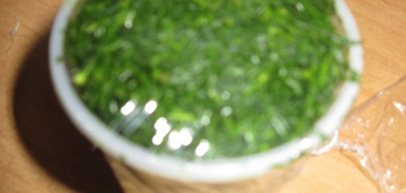 Зелень на зиму (замороженная)