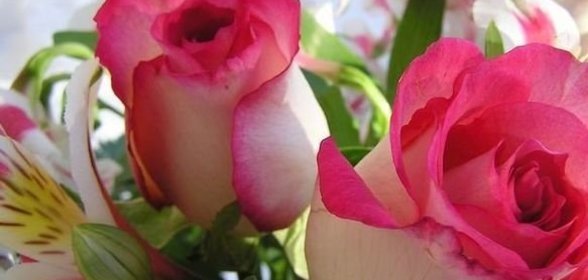 Грибы жареные с луком