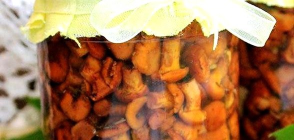 Грибы в мультиварке на зиму