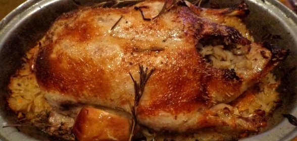 Запеченный гусь с яблоками и квашеной капустой