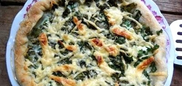 Пирог со щавелем петрушкой и зеленым луком