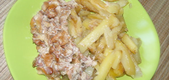 Лисички в сметане с картошкой