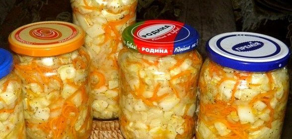 Кабачки и патиссоны на зиму