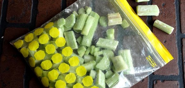 Заготовка ревеня на зиму