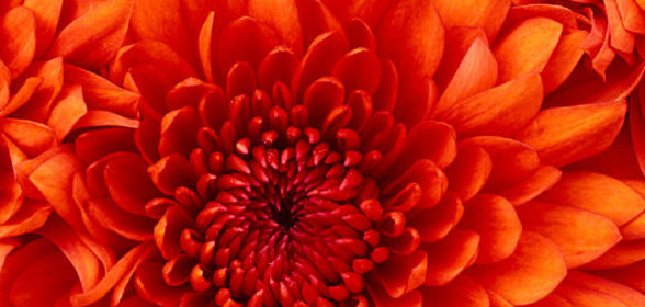 Жаркое в глиняном горшке (5-6 порций)