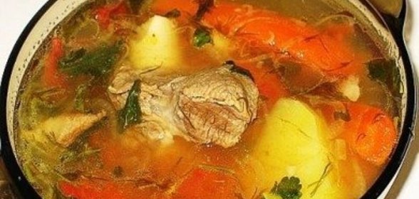Шурпа казахская