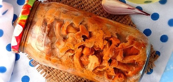 Закуска из лисичек