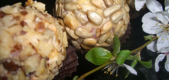 Сырные шарикиФейерверк вкусов