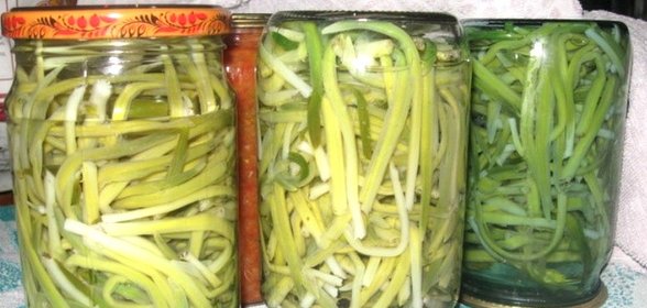 Маринованная черемша на зиму