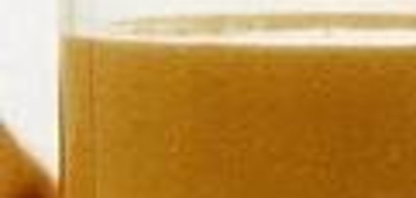 Гусь по-литовски с яблоками