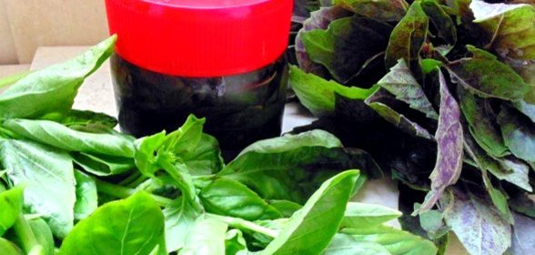 Пряные травы в масле на зиму