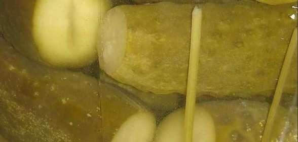 Маринованные огурцы малосольные