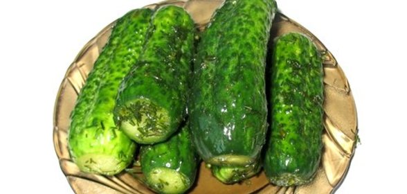 Малосольные огурцы без рассола