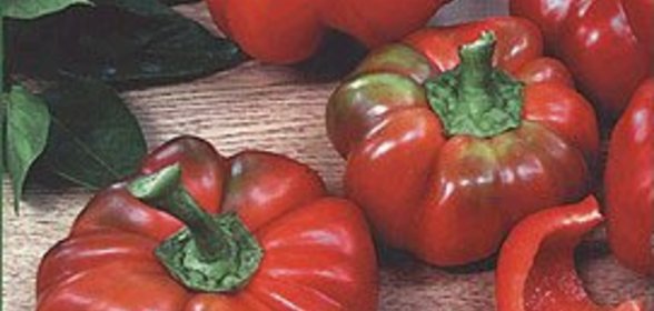 Фаршированные камби