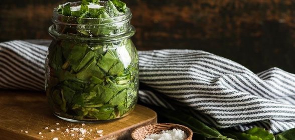 Консервированный щавель с солью