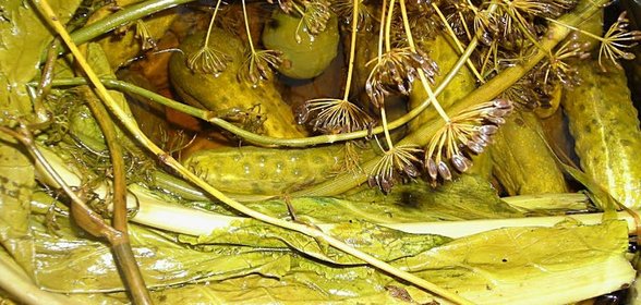 Огурчики хрустящие