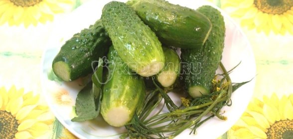Малосольные огурчики