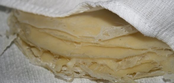 kambala po flamandski