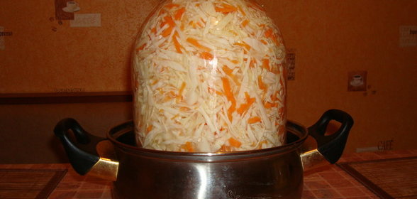Квашенная капусточка