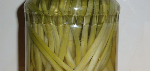 Маринованная черемша