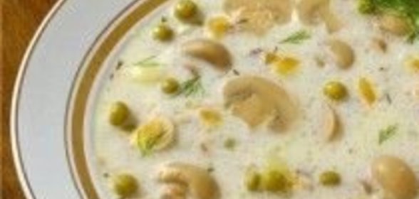 Суп из консервированных шампиньонов