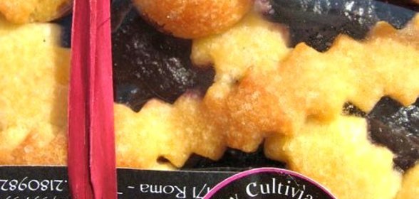 Пирог с Crema dolce olivotto