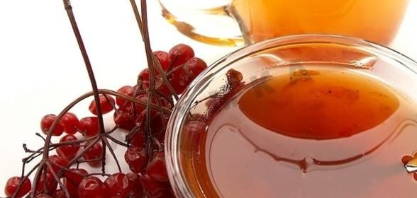 Калина с медом на зиму