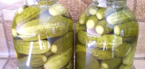 Огурцы консервированные с чесноком